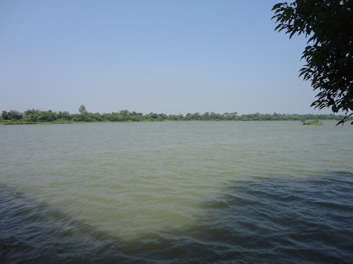 DSC05170.jpg
