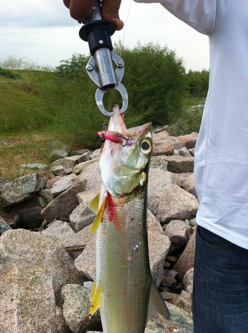 IMG_3435.JPG