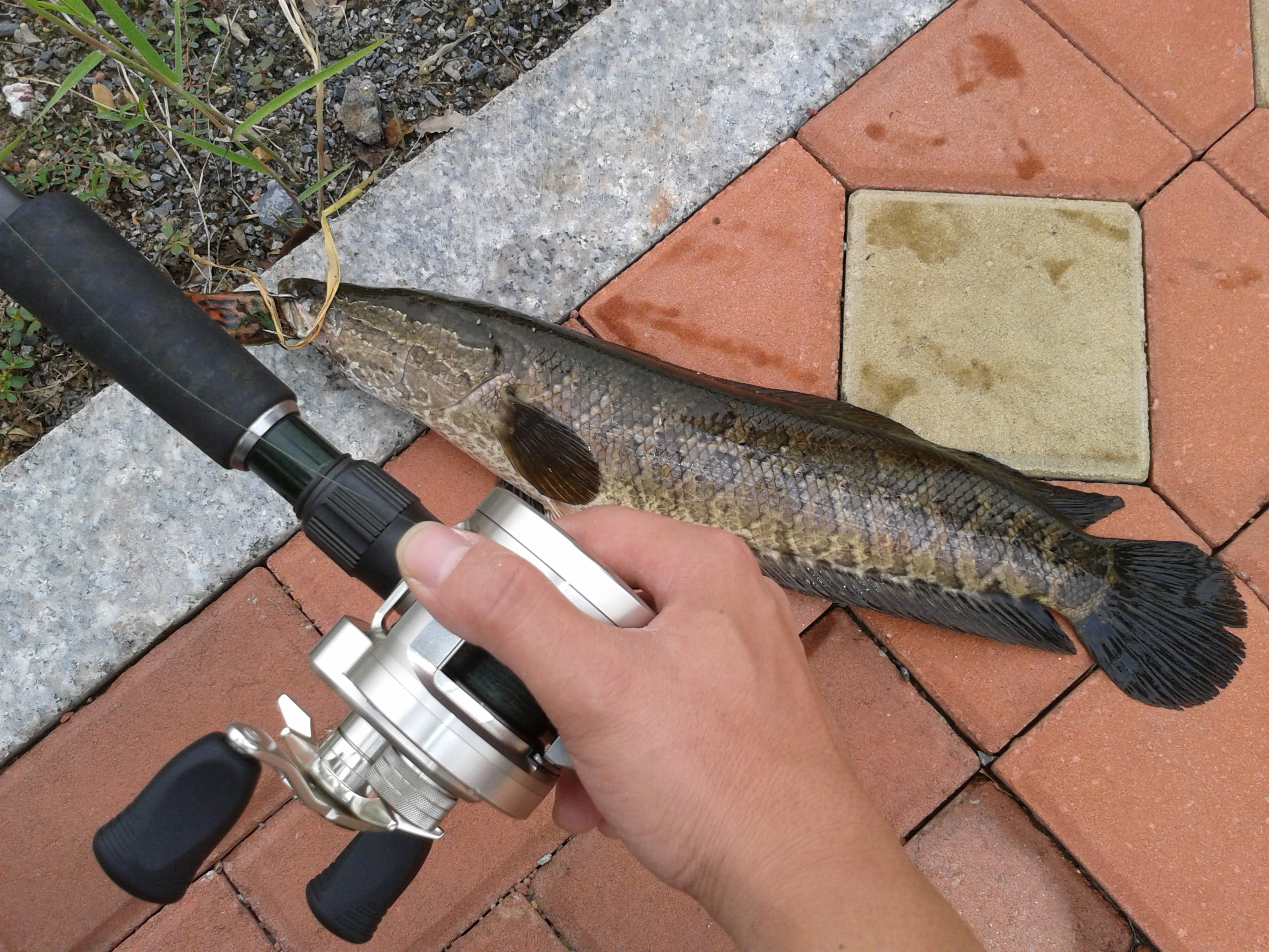 2012-09-14 14.59.25.jpg
