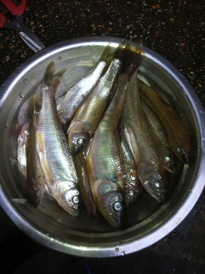 Ƭ 019.jpg