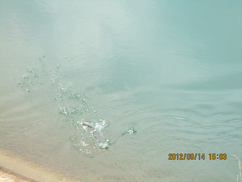 Ƭ 059_.jpg