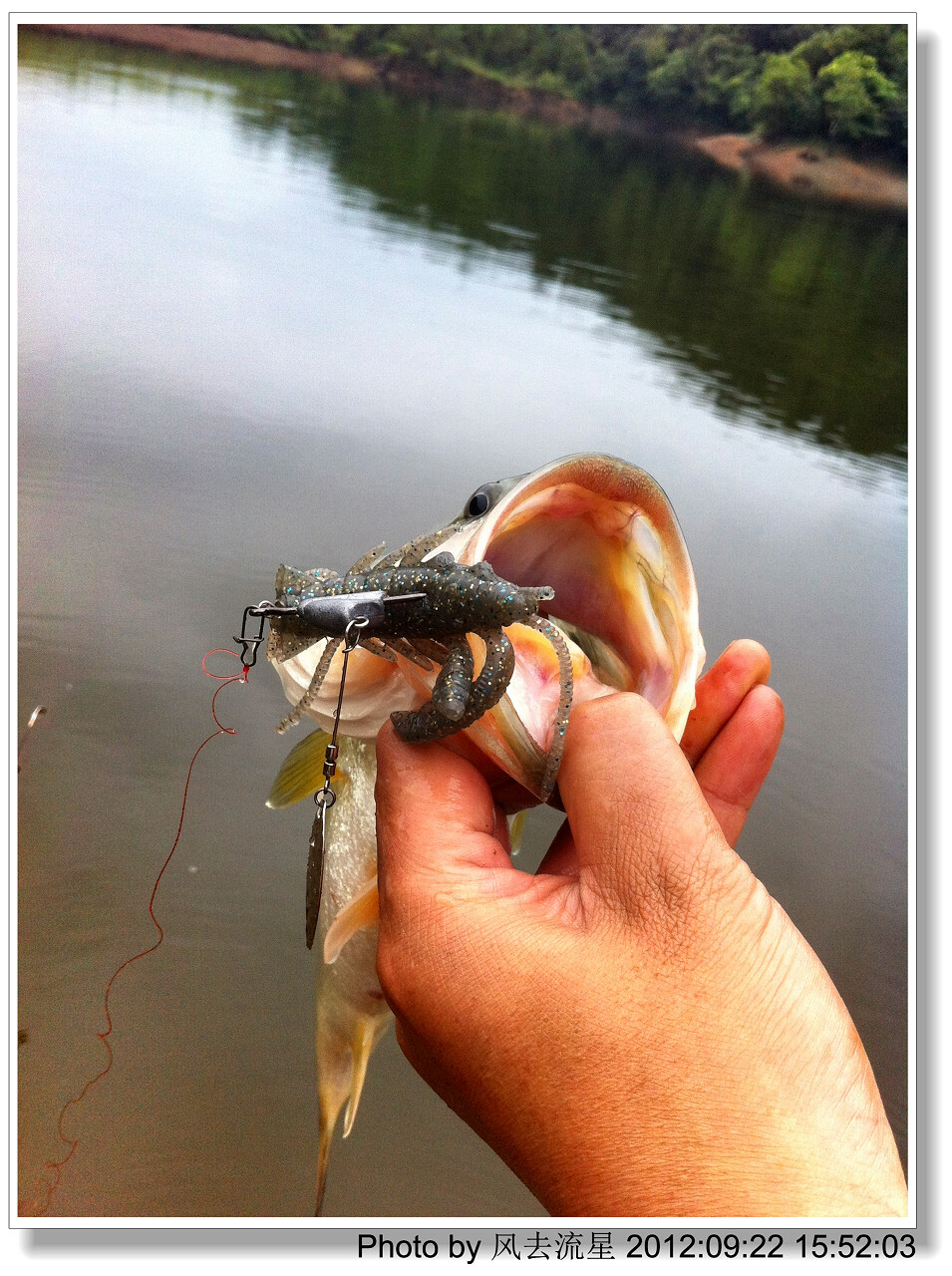 2012092211.jpg