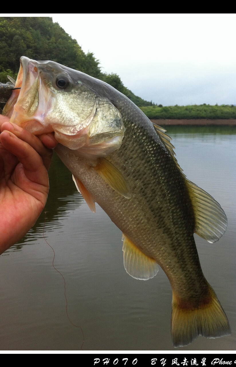2012092213.jpg