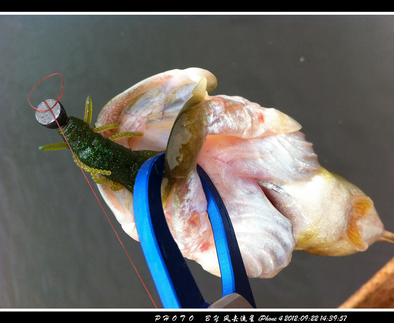 2012092214.jpg