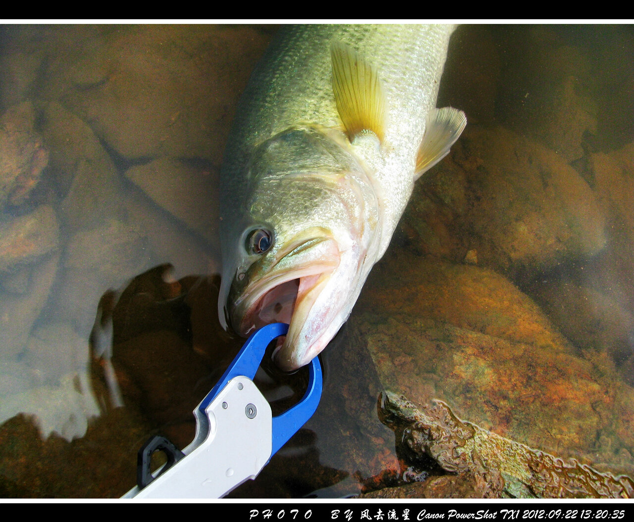 2012092216.jpg