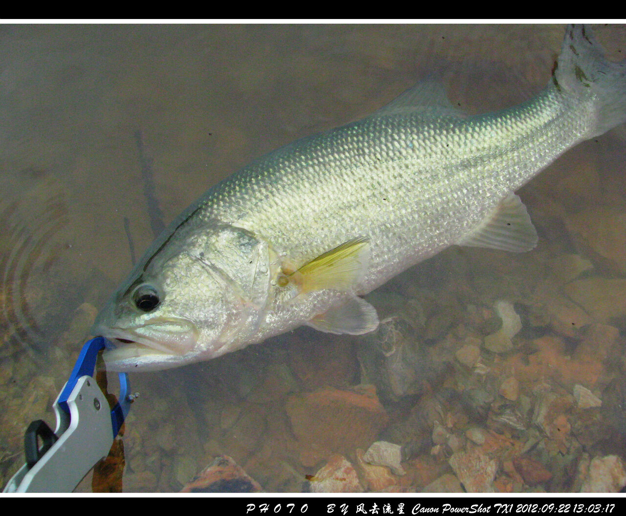 2012092217.jpg