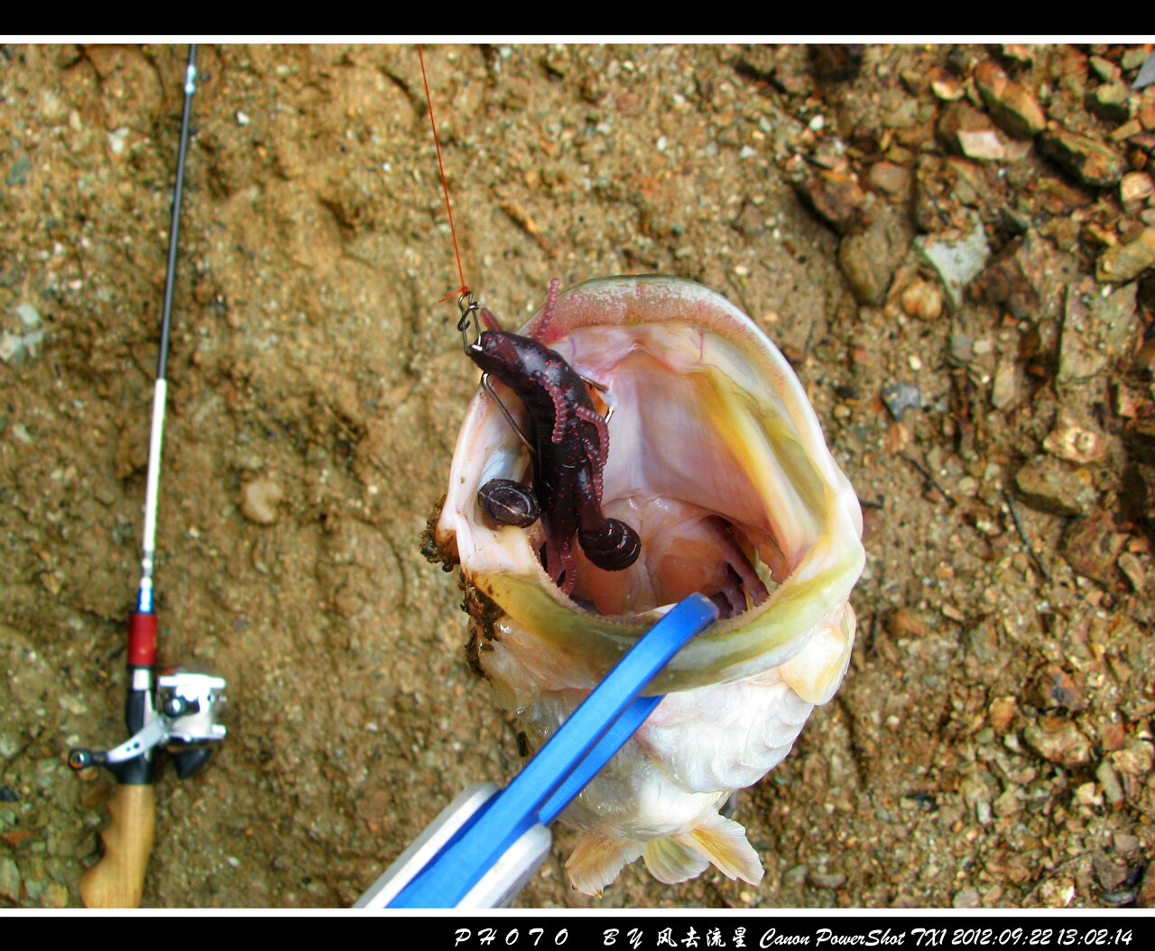2012092218.jpg