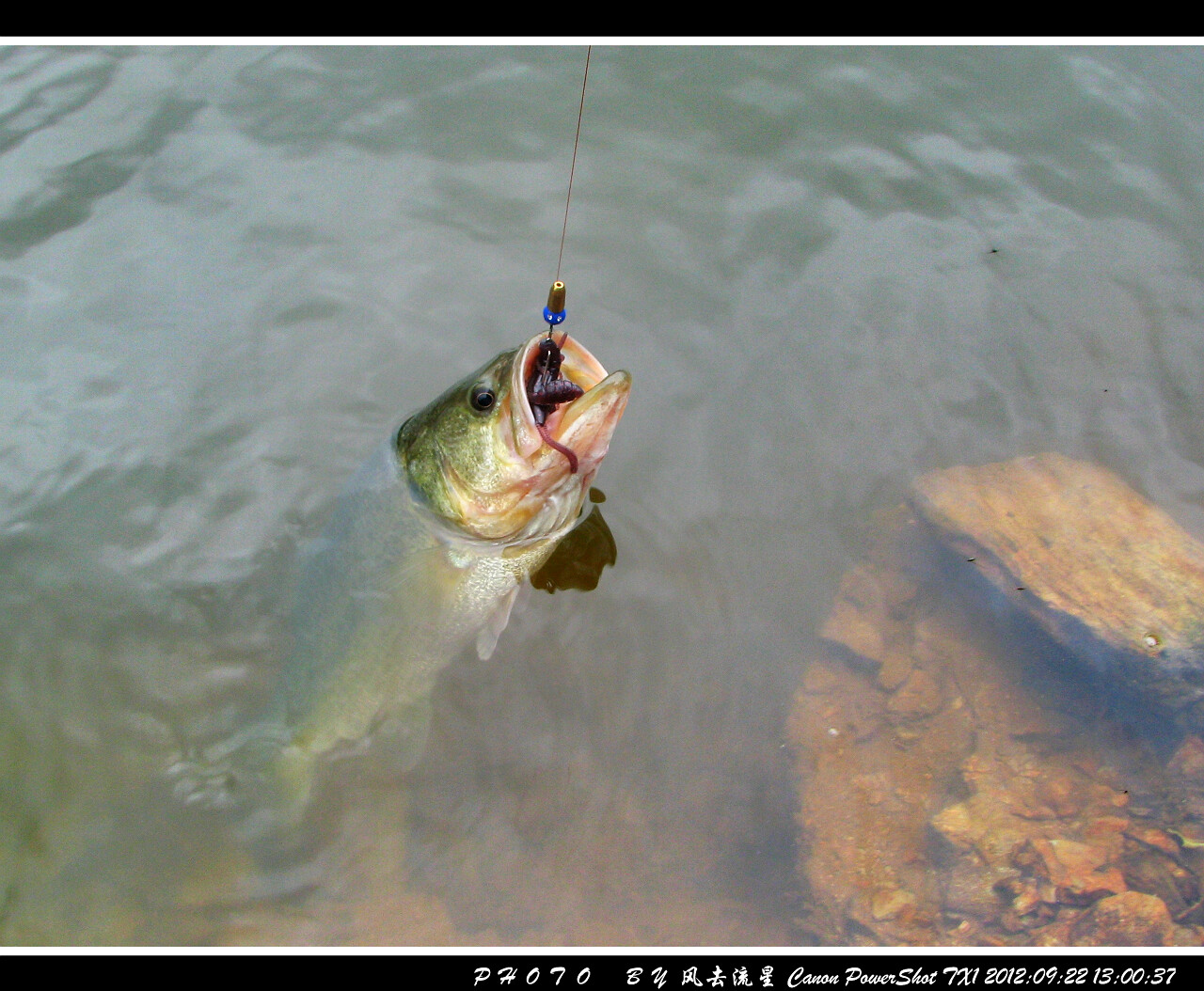 2012092220.jpg