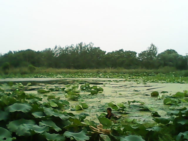 IMG_20120907_122719.jpg