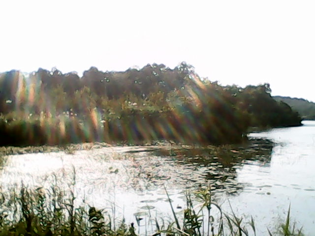 IMG_20120925_154255.jpg
