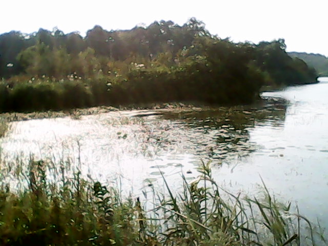 IMG_20120925_154300.jpg