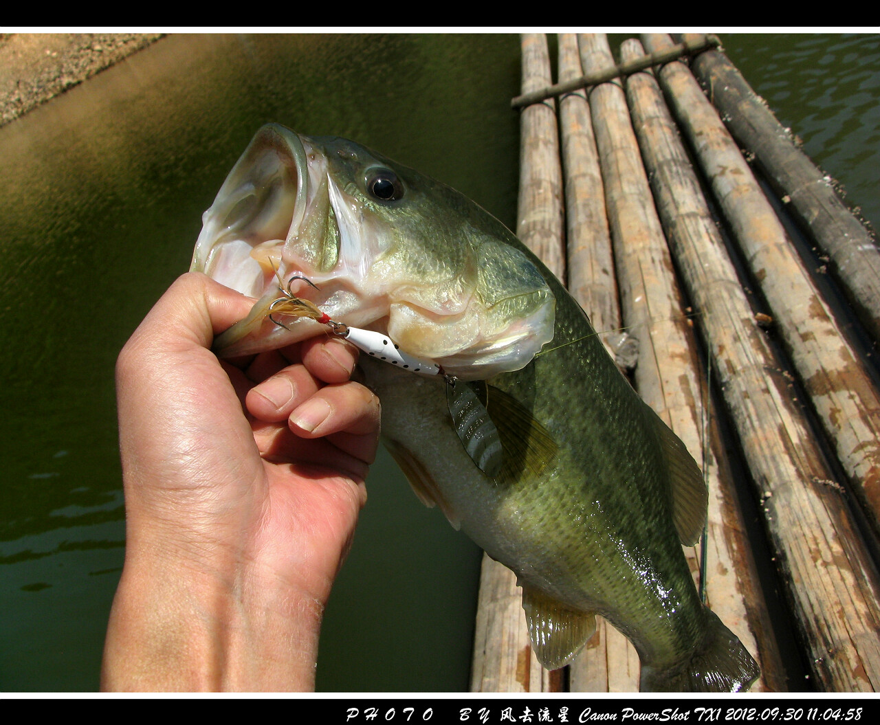 2012093006.jpg