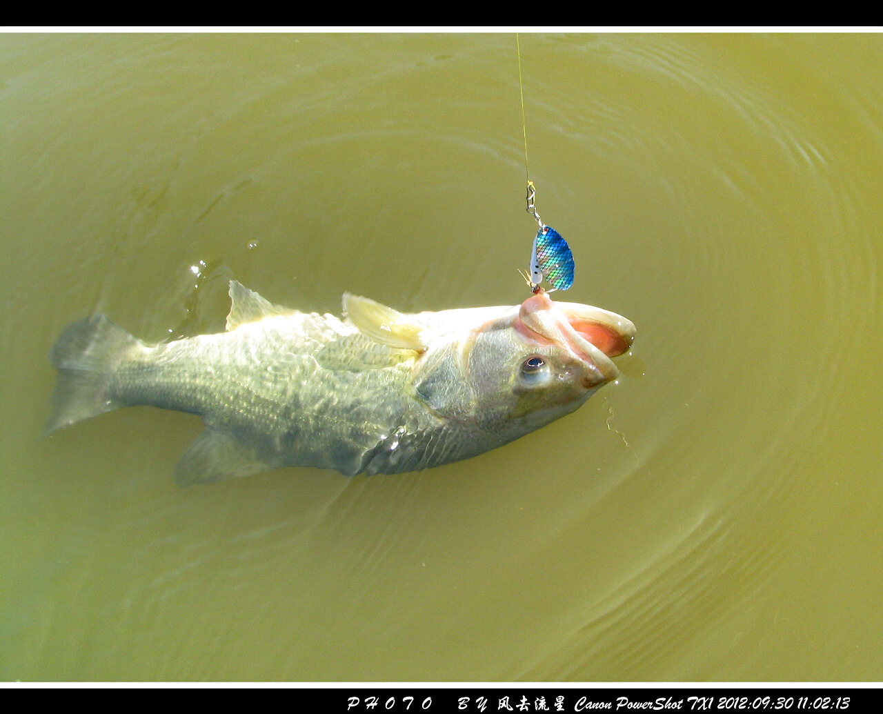 2012093007.jpg