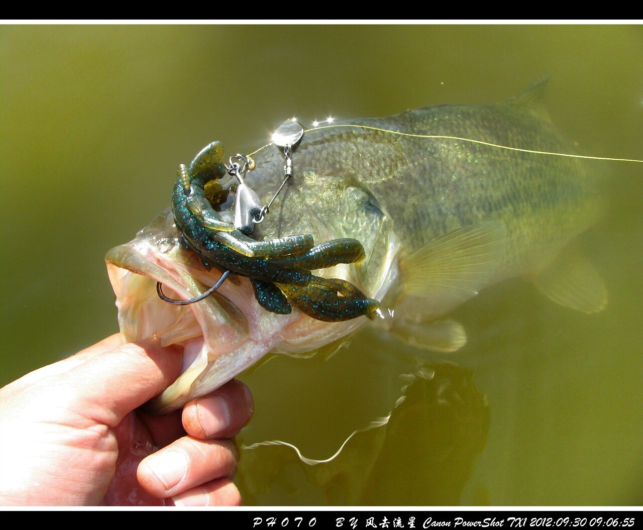 2012093009.jpg