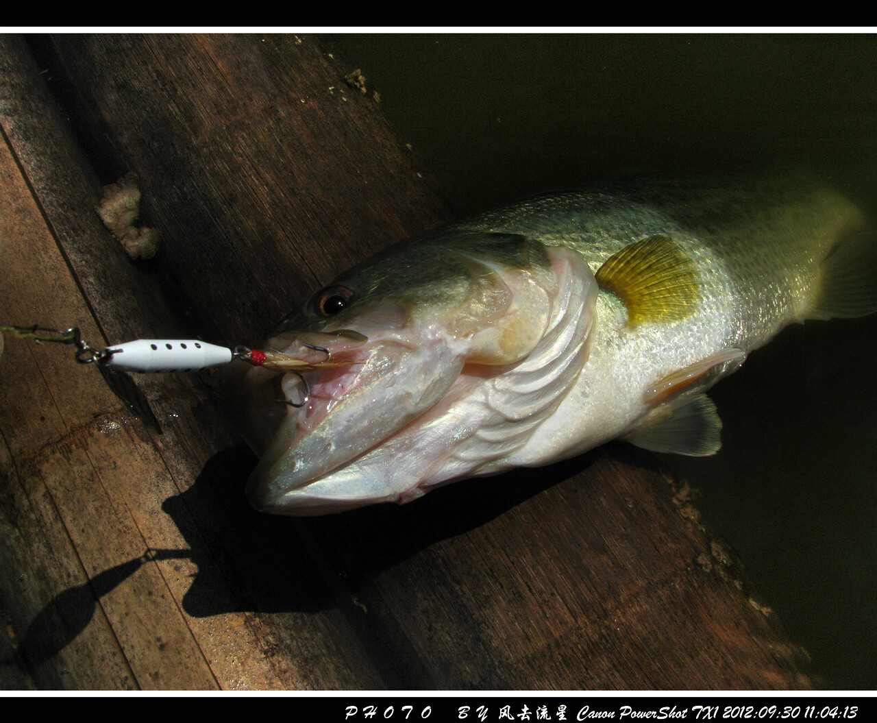 2012093010.jpg