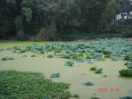 DSC08874.JPG