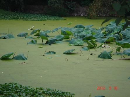 DSC08875.JPG