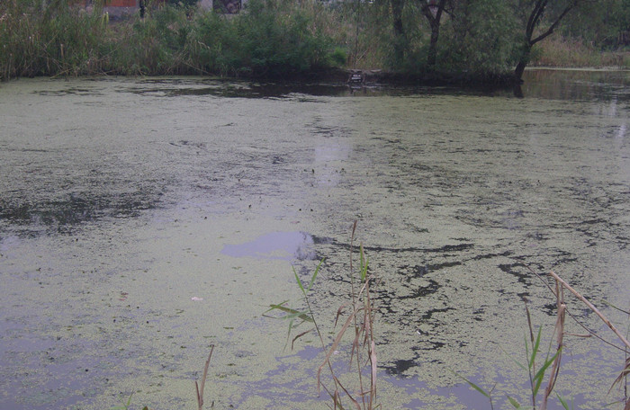 SNC13458_.jpg