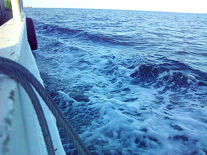 IMG_20121001_162739_.jpg