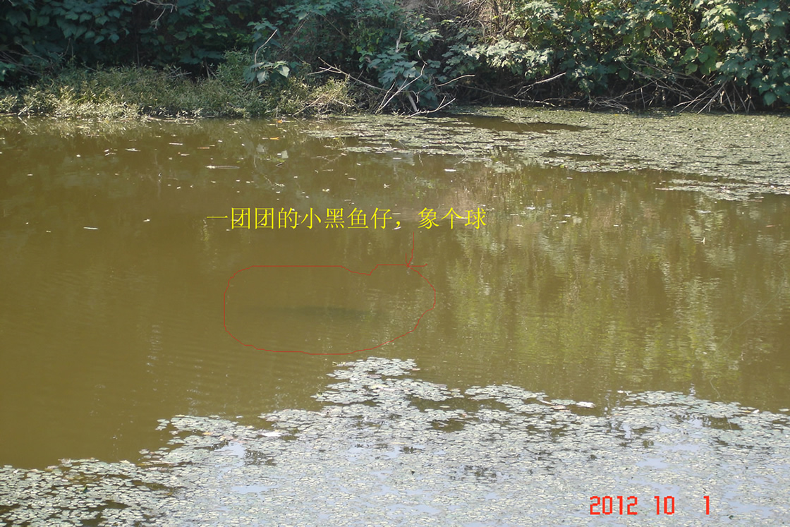 DSC04558.jpg