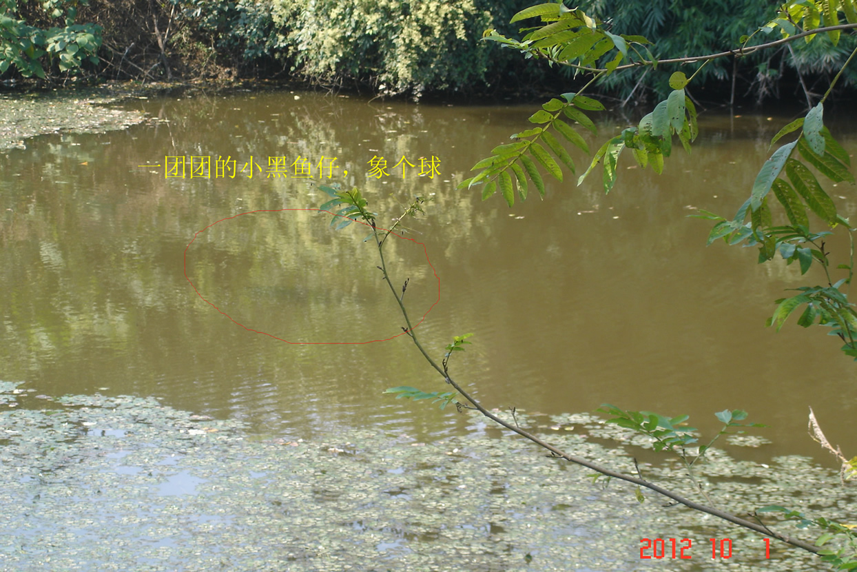 DSC04559.jpg