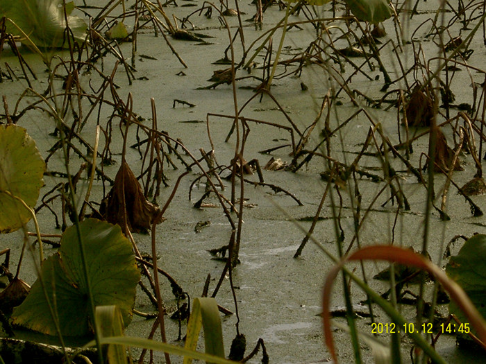 SNC13538_.jpg