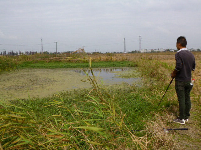 P1000665.JPG