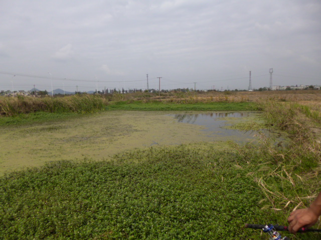 P1000662.JPG