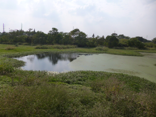 P1000679.JPG