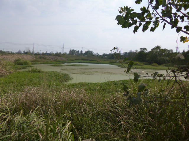 P1000670.JPG