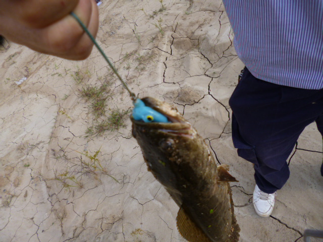 P1000677.JPG