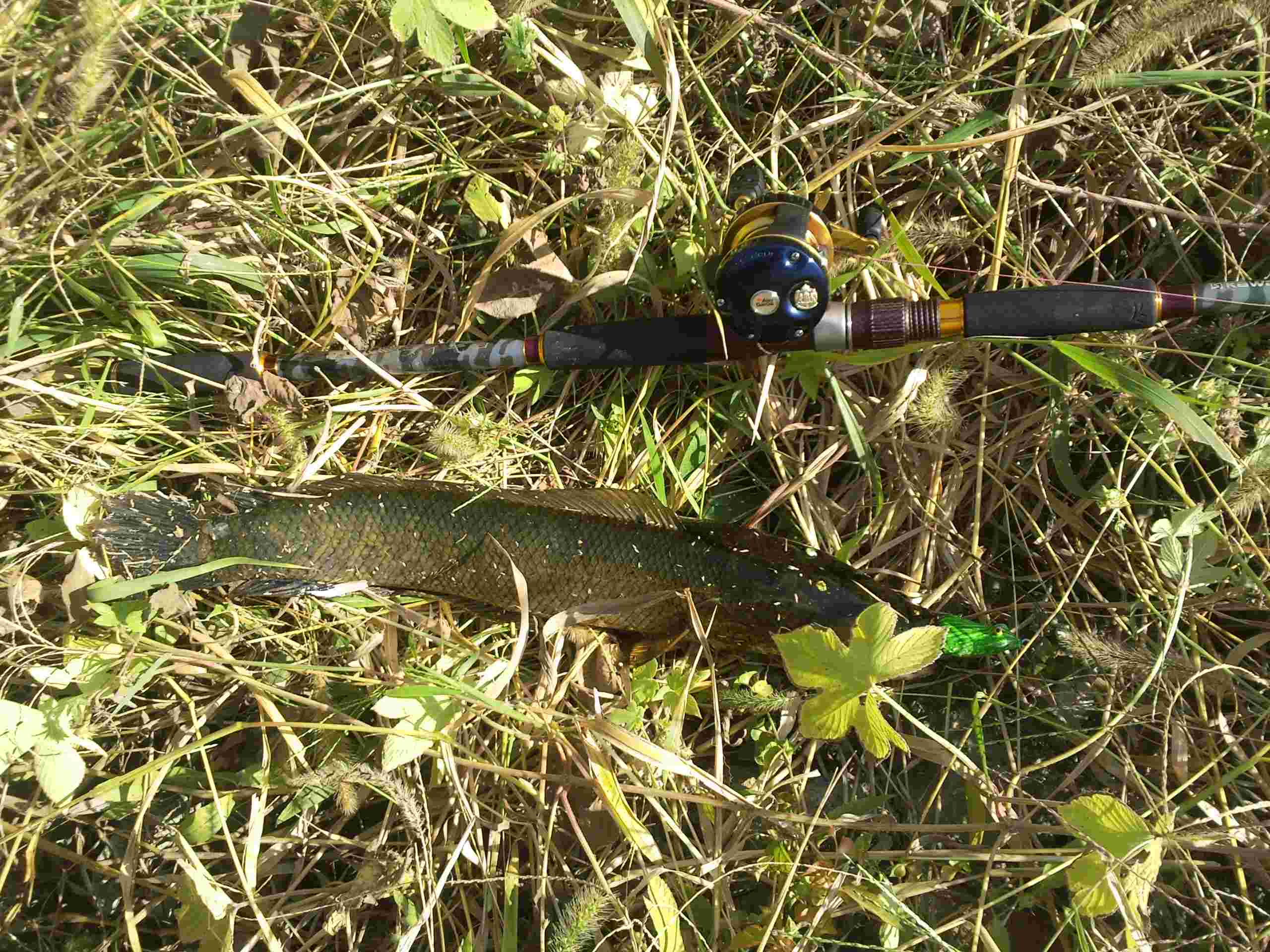 2012-10-15 12.42.03.jpg