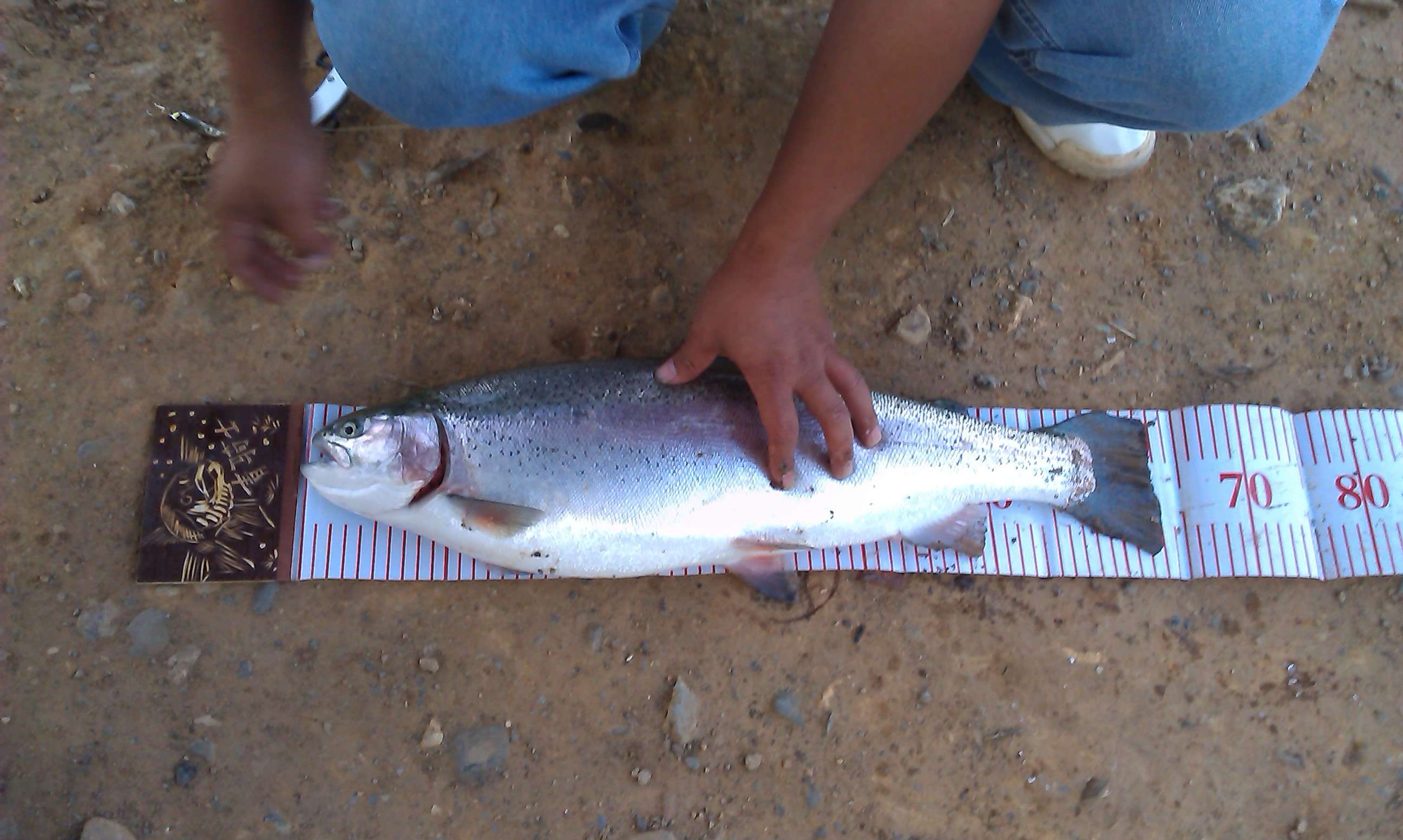 IMAG0359.jpg