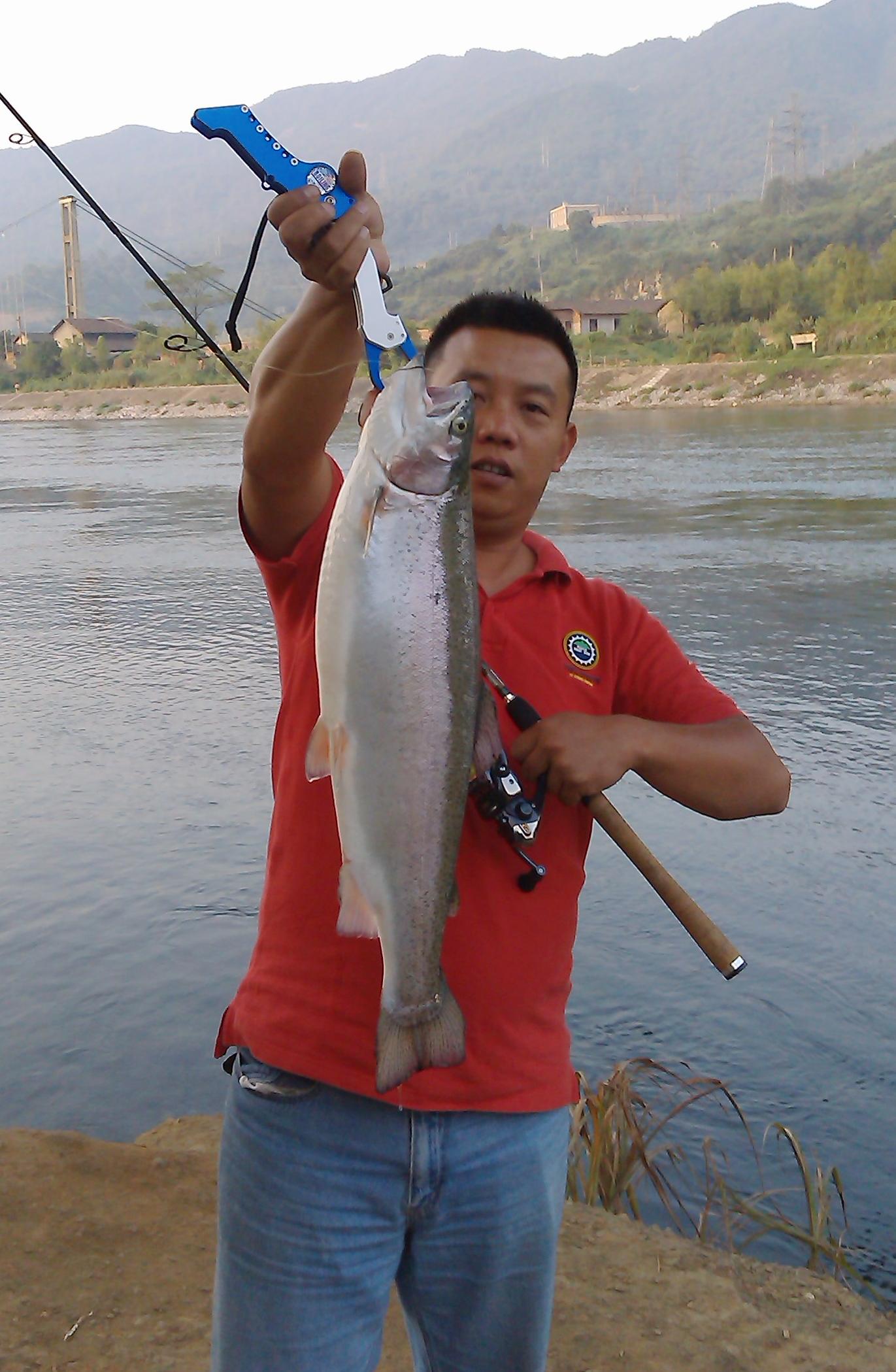 IMAG0339.jpg