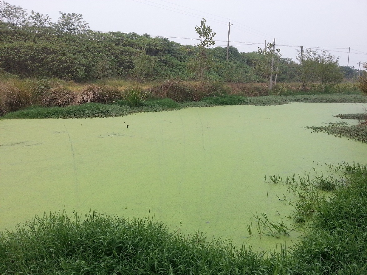 20121020_164143.jpg
