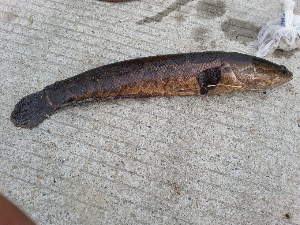 20121021_132753.jpg