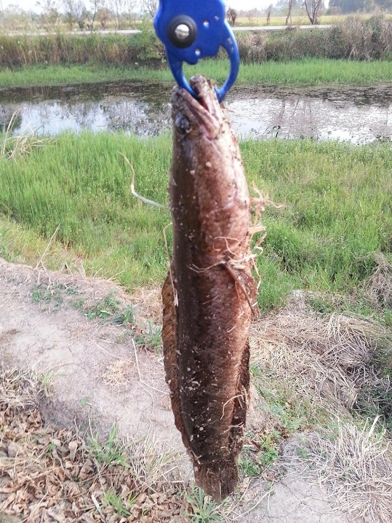 20121021_164937.jpg