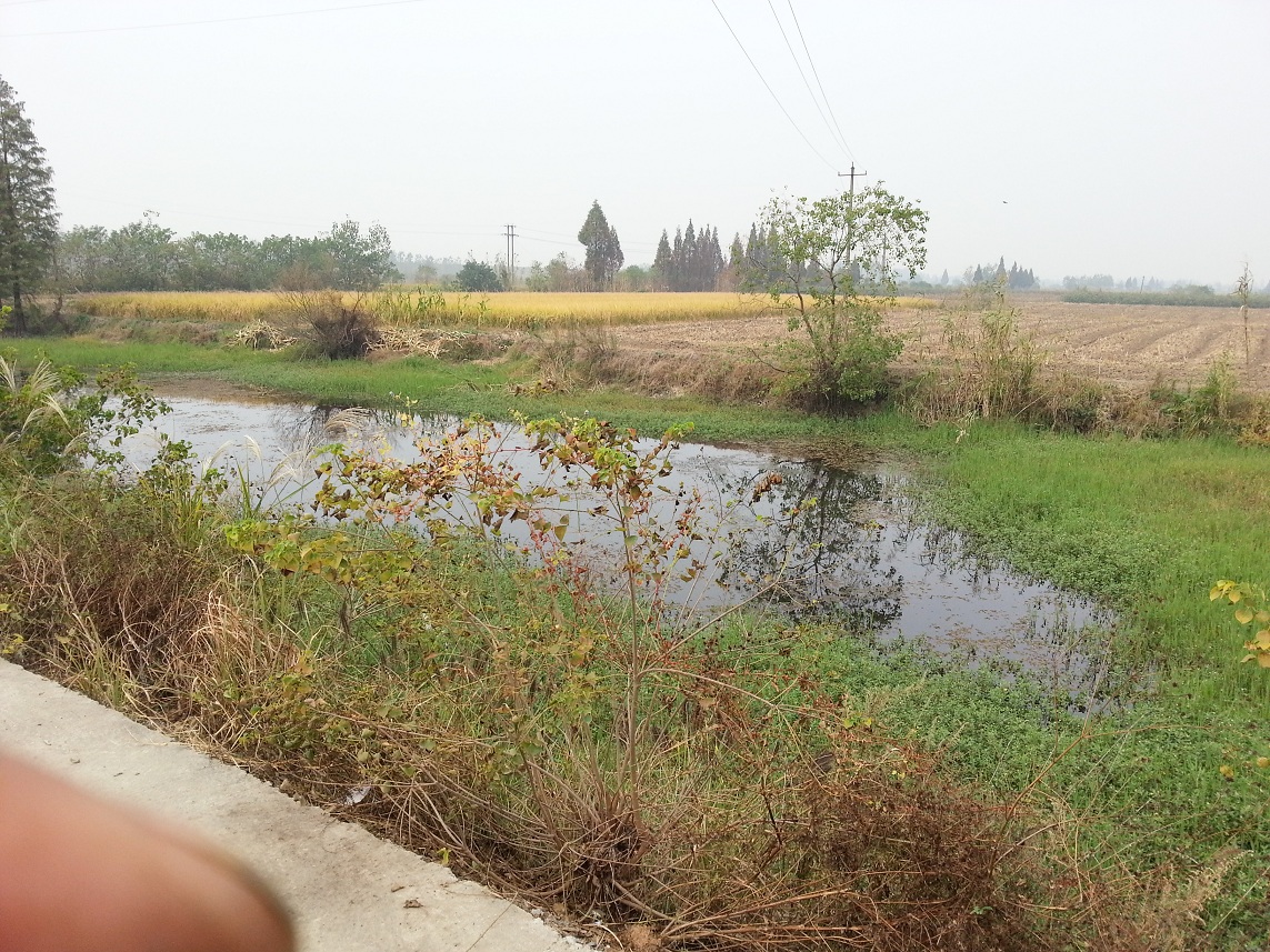 20121021_132759.jpg