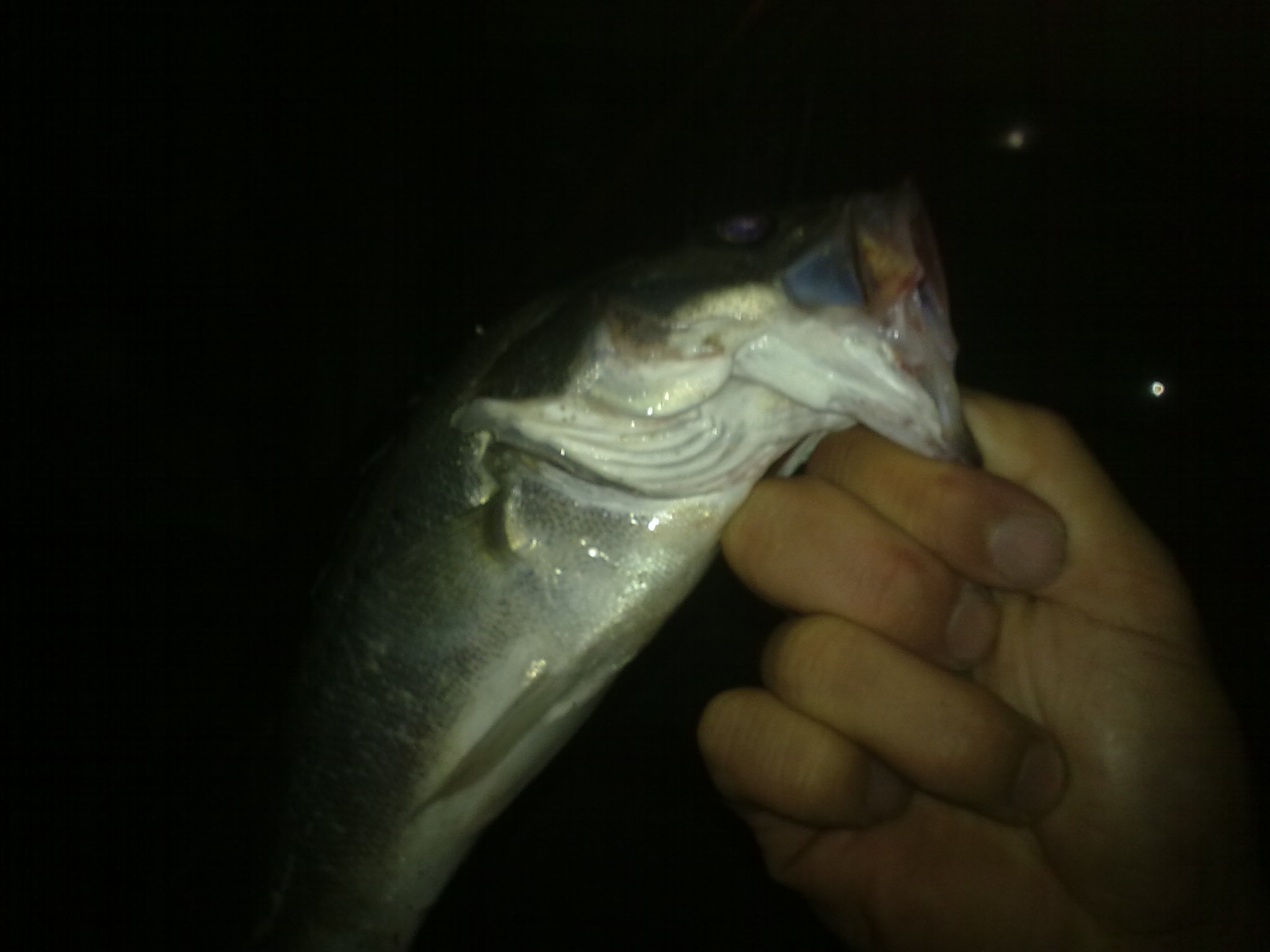 20120924027.jpg