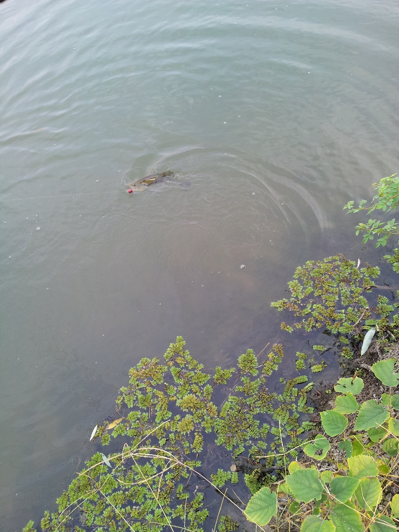 20121023_155508.jpg