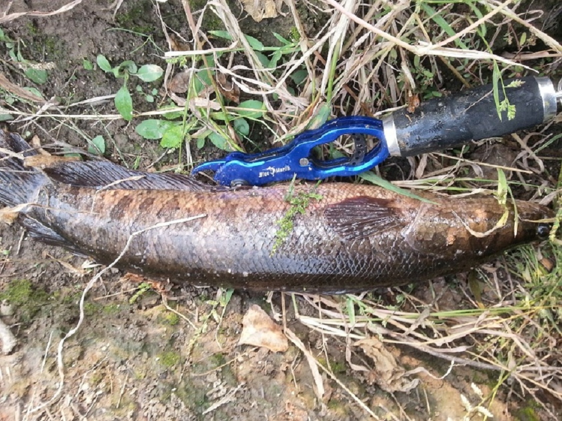 20121025_140703.jpg