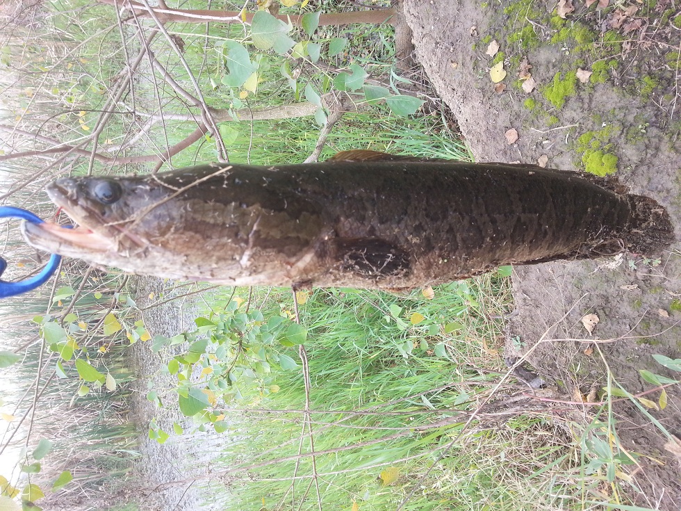 20121025_132418.jpg