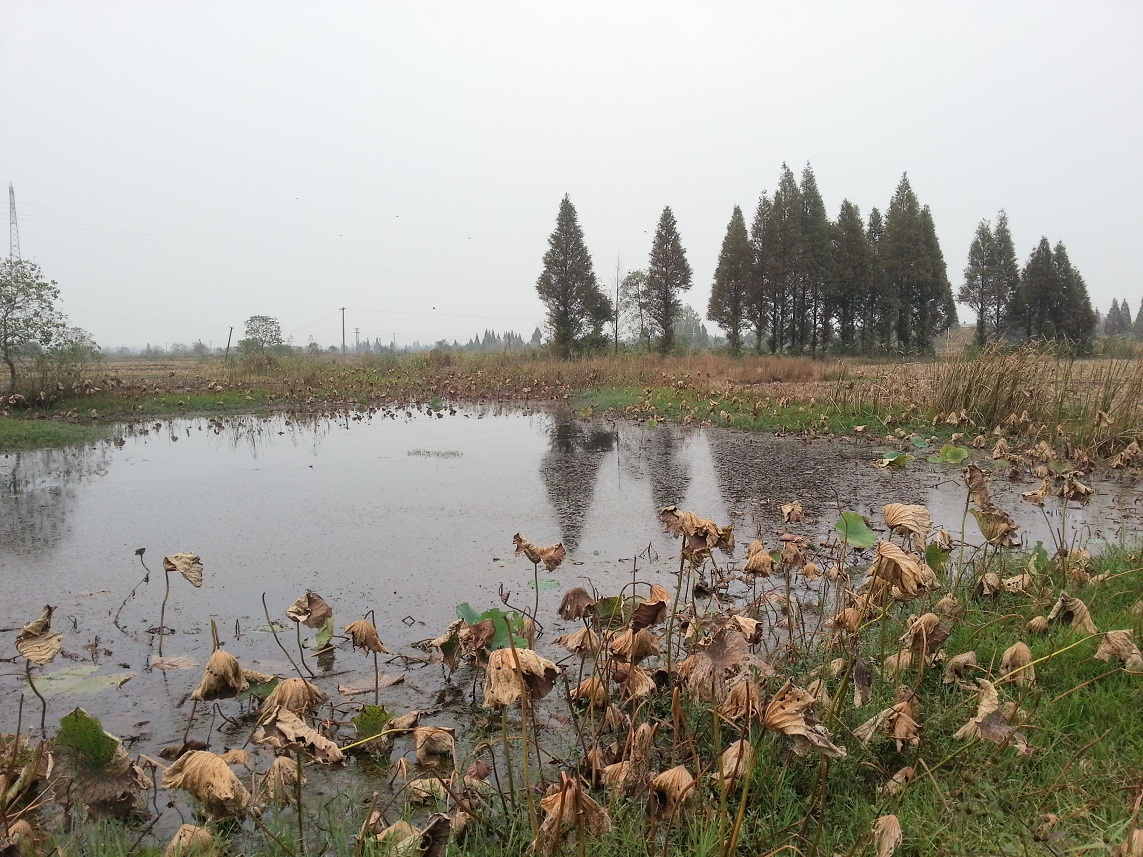 20121025_162601.jpg