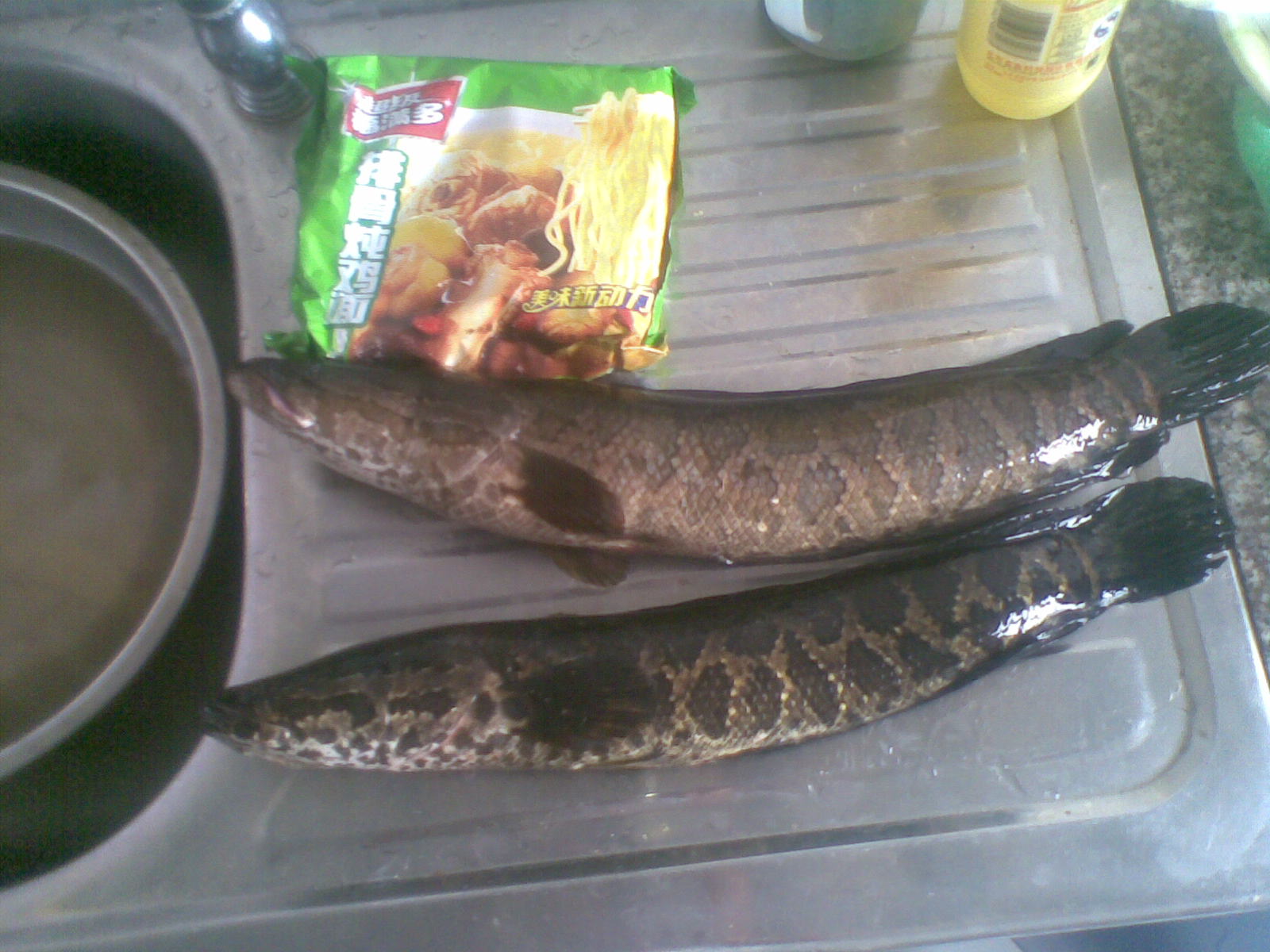 20110619.jpg