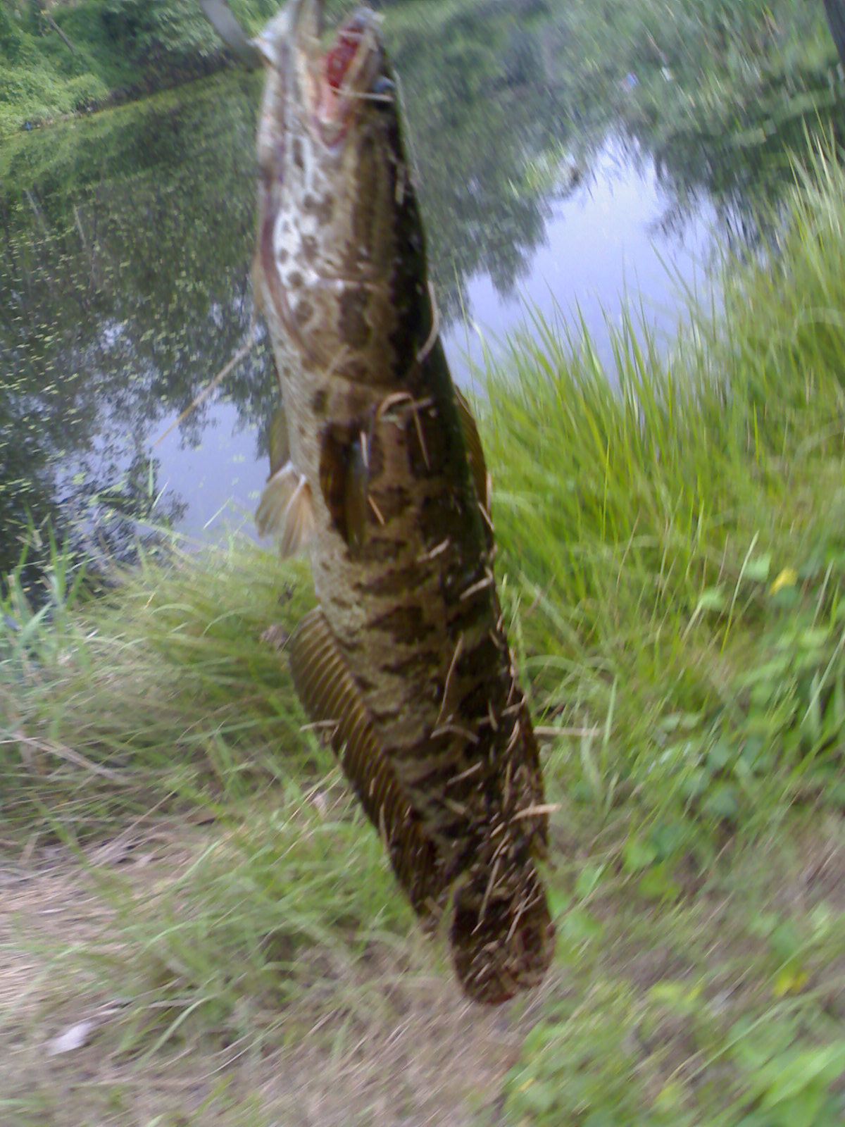 20120829295.jpg