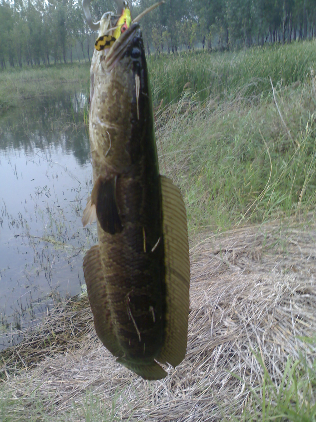 20120921301.jpg