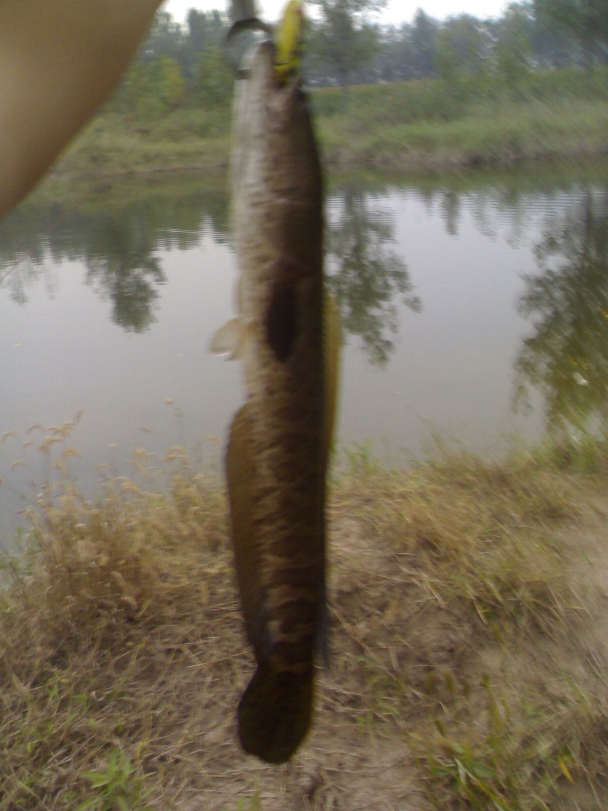 20120921303.jpg