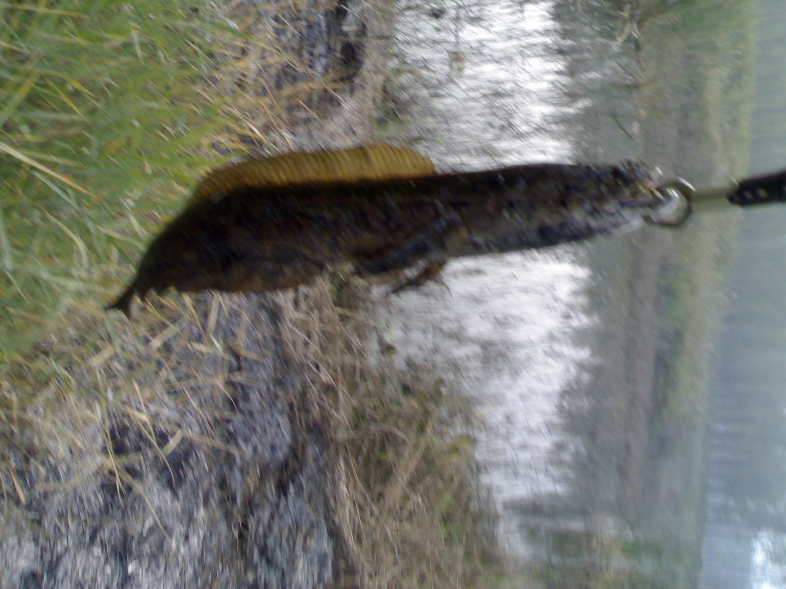 20121008305.jpg