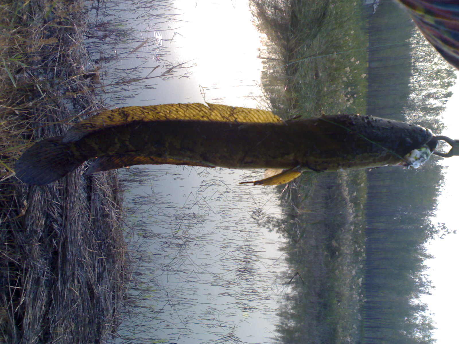 20121014312.jpg