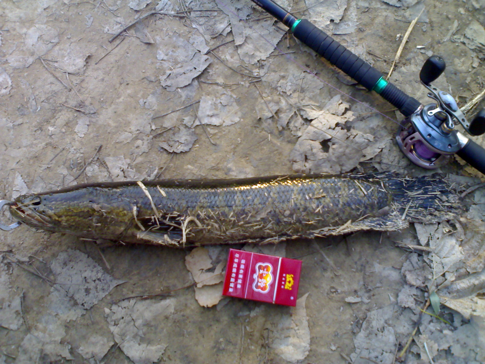 20121014308.jpg